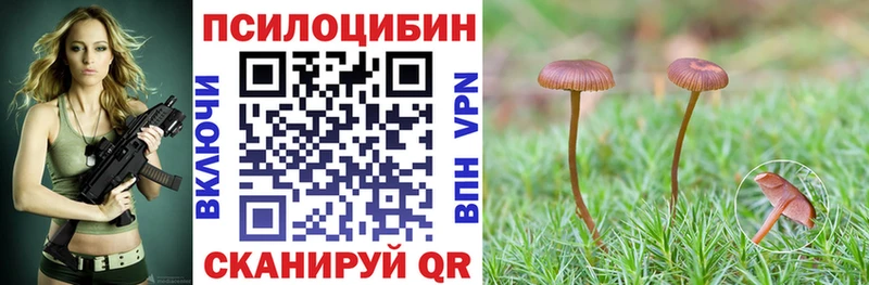 Псилоцибиновые грибы Psilocybe  Таруса 